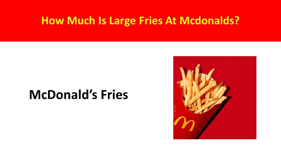 large fries at McDonald's